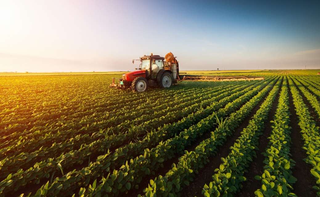 Enzymes used in agriculture can improve soil health and promote plants grow.