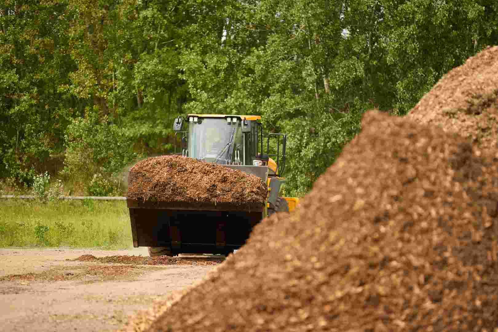 Laccases and peroxidases can break down lignin for use in biomass processing.