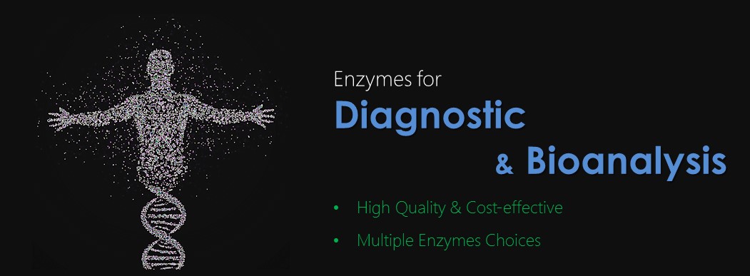 Enzymes for diagnostic and bioanalysis by Creative Enzymes.