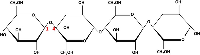 Cellulose with beta-1,4 glycosidic bonds.