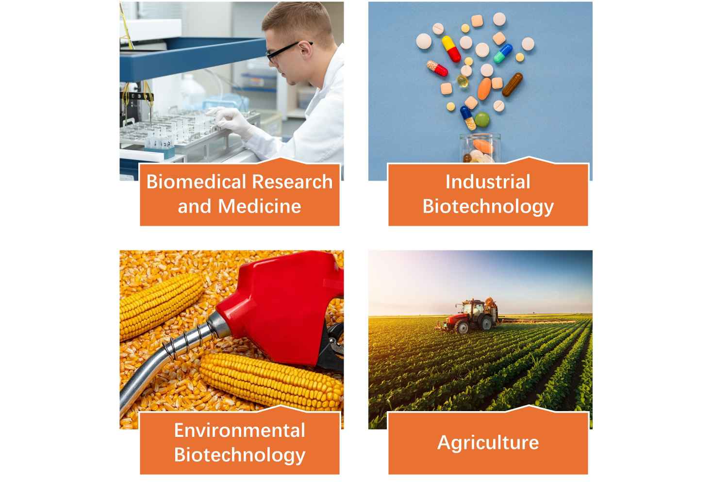 Applications of transferases.