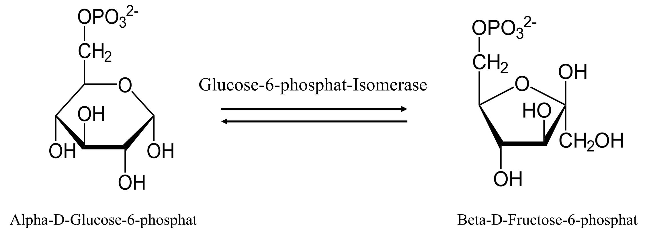 The reaction catalyzed by glucose-6-phosphat-isomerase.