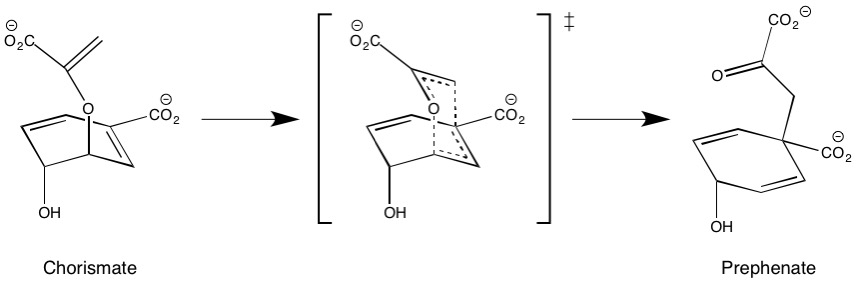 The reaction catalyzed by chorismate mutase.