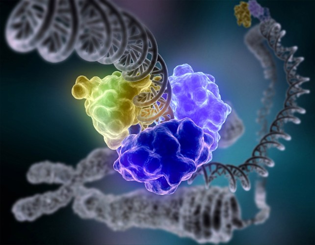 Illustration of DNA ligase repairing DNA damage.