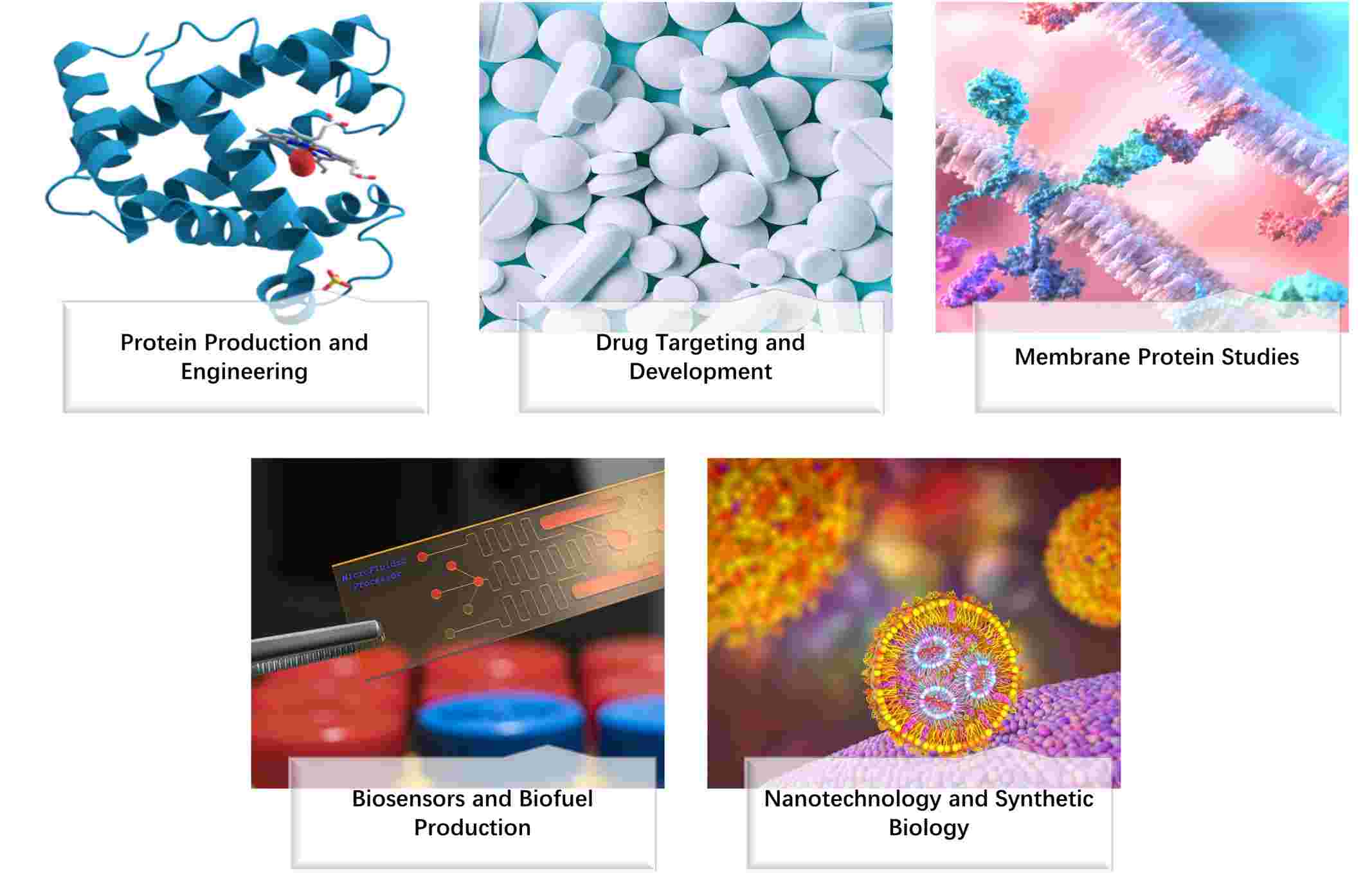 Applications of translocases.