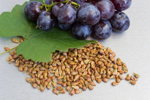 Grape Seeds.