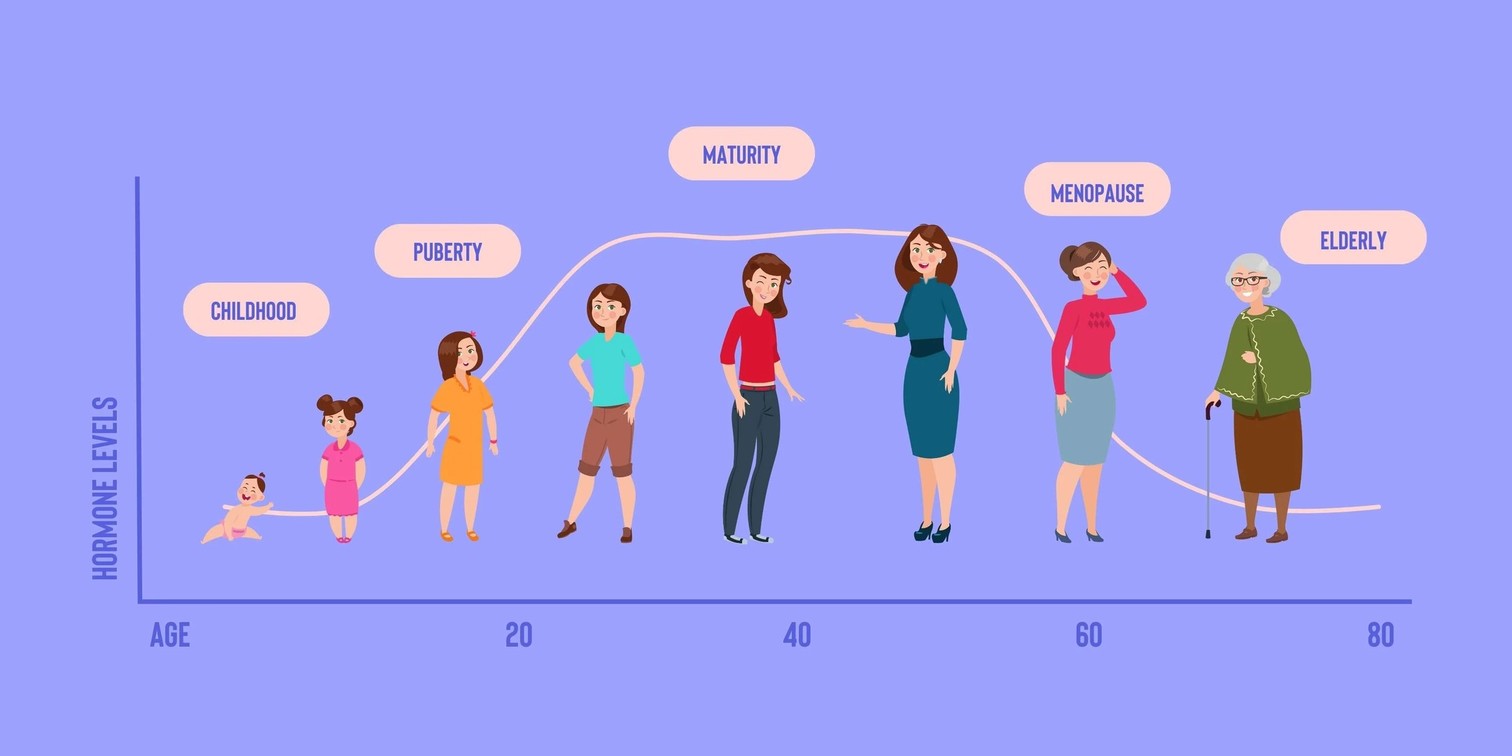 Women's life stages.