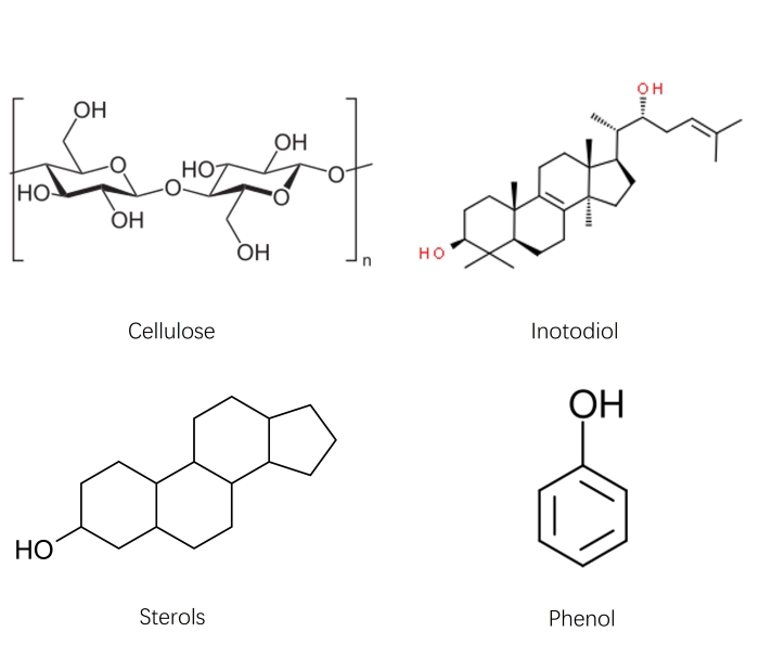 Examples of mushroom extract components: Cellulose, Inotodiol, Sterols and Phenol.