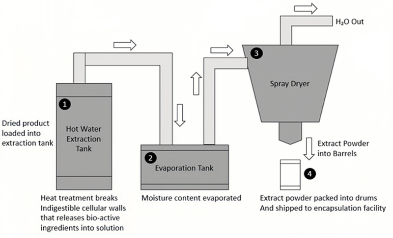 Hot water extraction procedure.