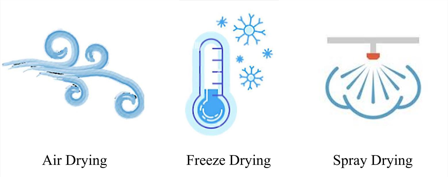 Primary methods of vegetable powder production: air drying, freeze drying, and spray drying.