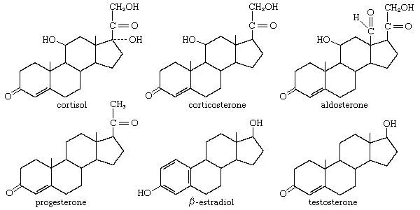 Examples of steroids and terpenes: cortisol, corticosterone, aldosterone, progesterone, beta-estradiol, and testosterone.