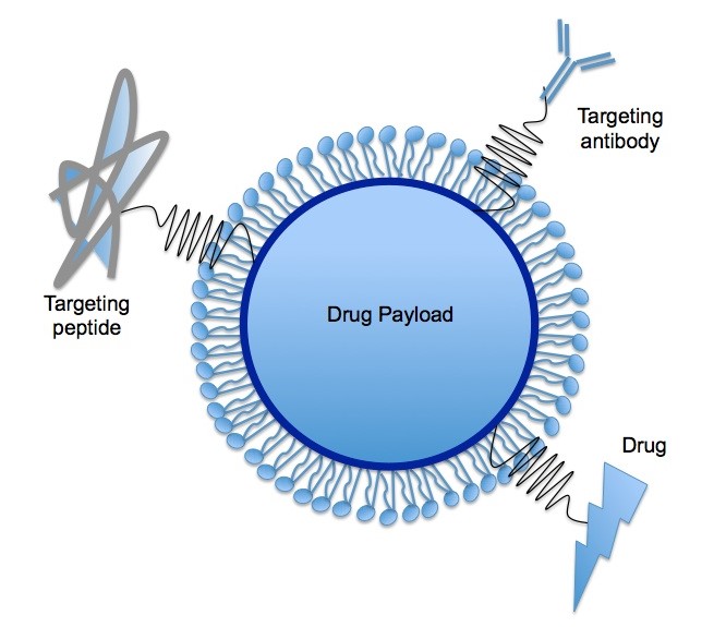 Diagram of a solid lipid nanoparticle, monolayer of phospholipid enclosing solid drug payload.