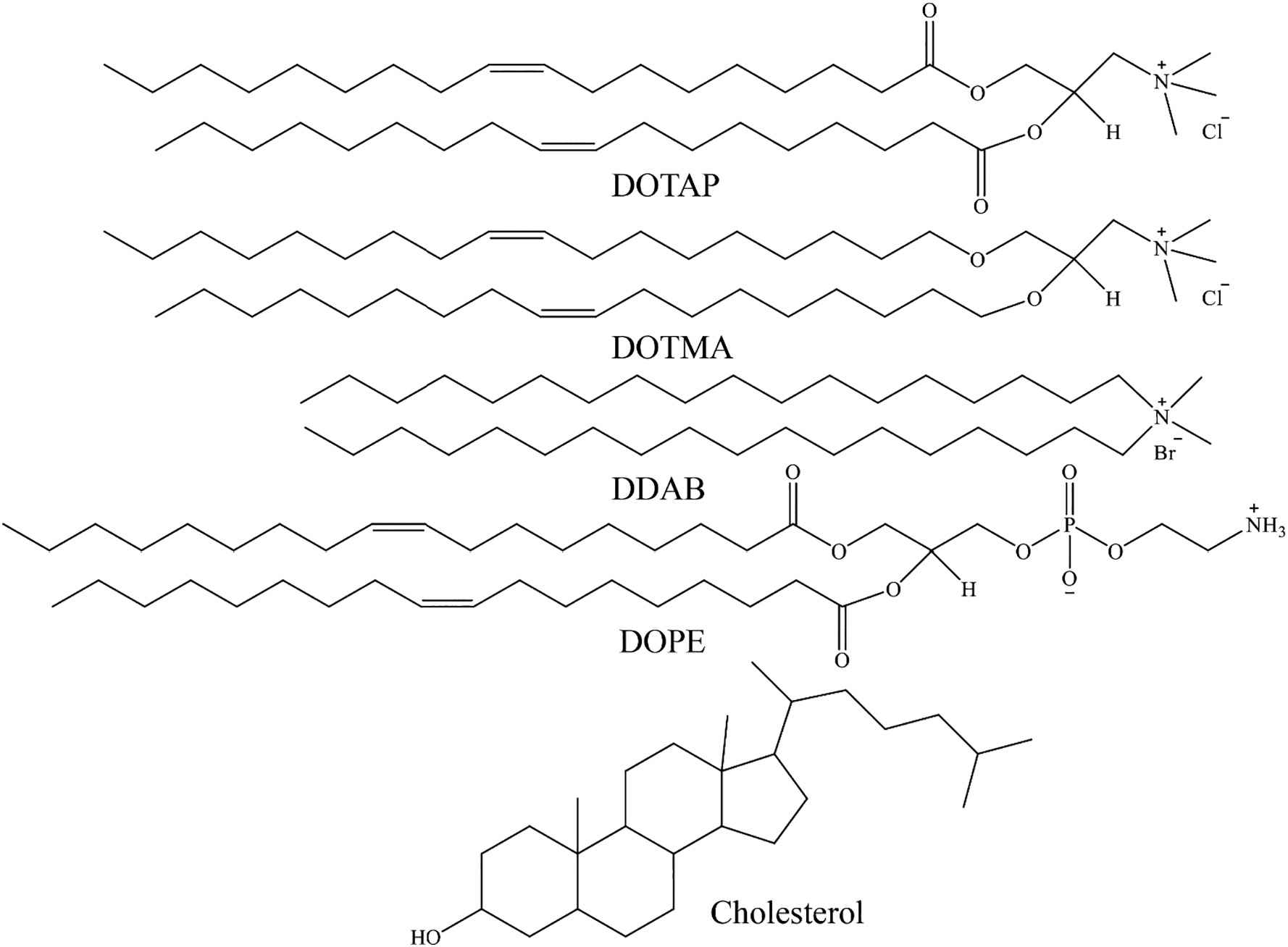 Structure of common cationic lipids used for gene transfer.