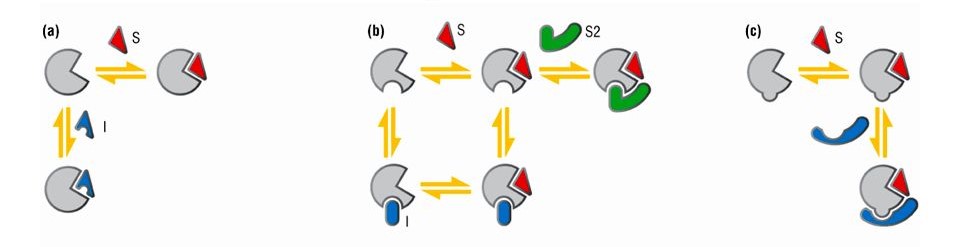 Action schema of competitive, non-competitive and uncompetitive inhibition.