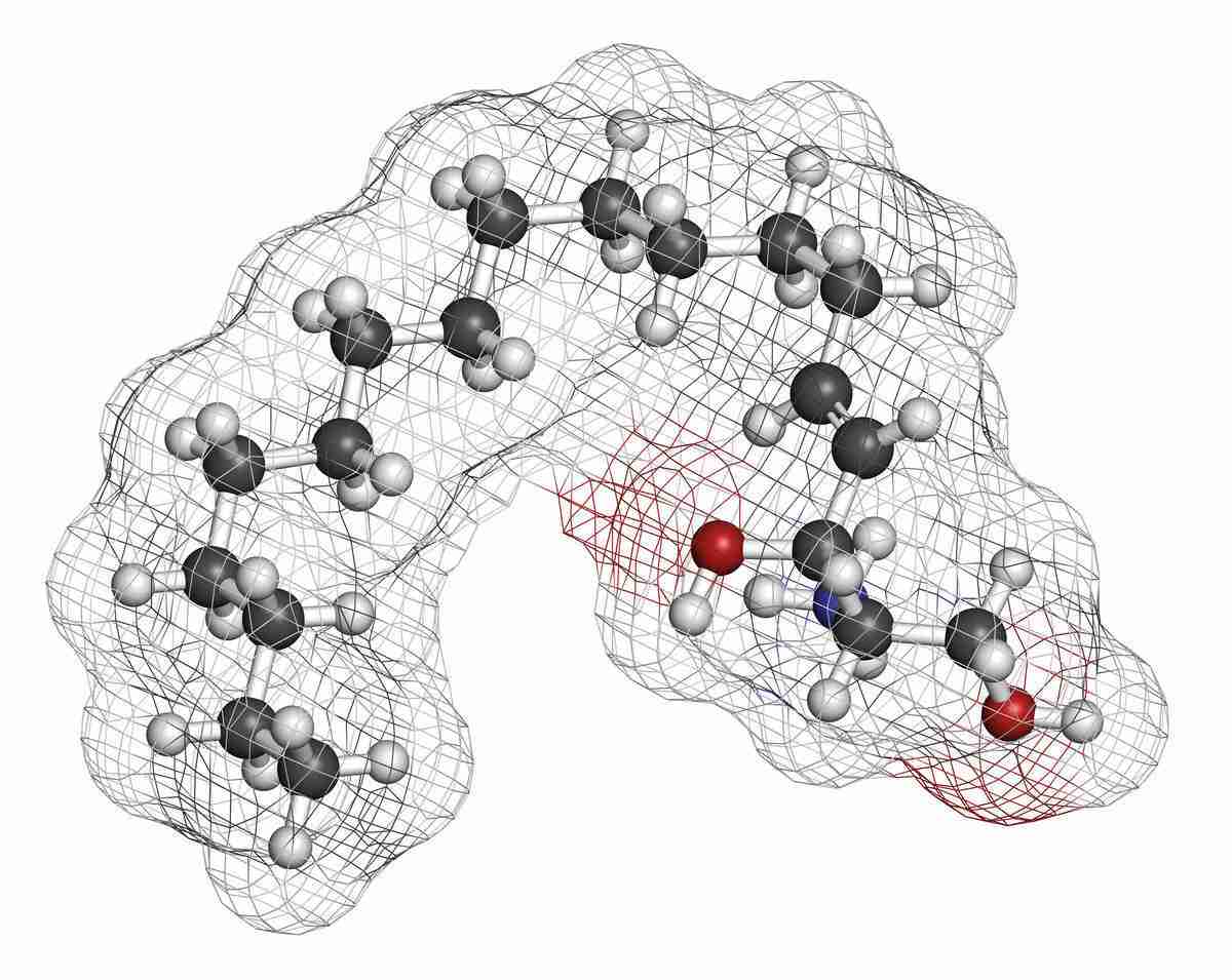 3D rendering model of sphingosine lipid molecule.