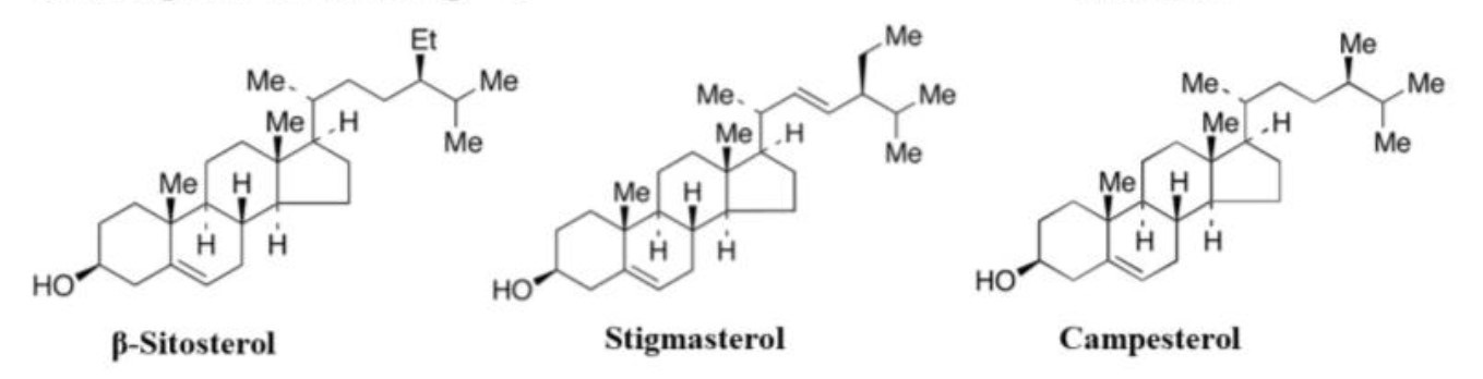 Three common phytosterols: β-sitosterol, stigmasterol, and campesterol.