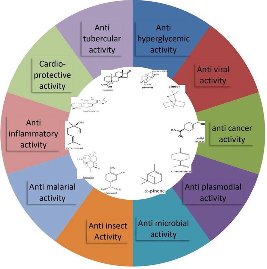 Terpenes and terpenoids: properties including anti-tubercular, anti-hyperglycemic, anti-viral, and anti-cancer effects.