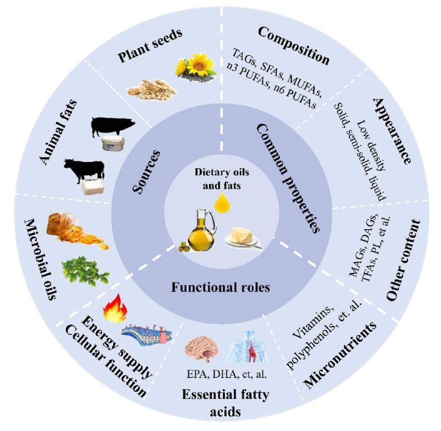 Sources, properties, and functional roles of dietary oils and fats.