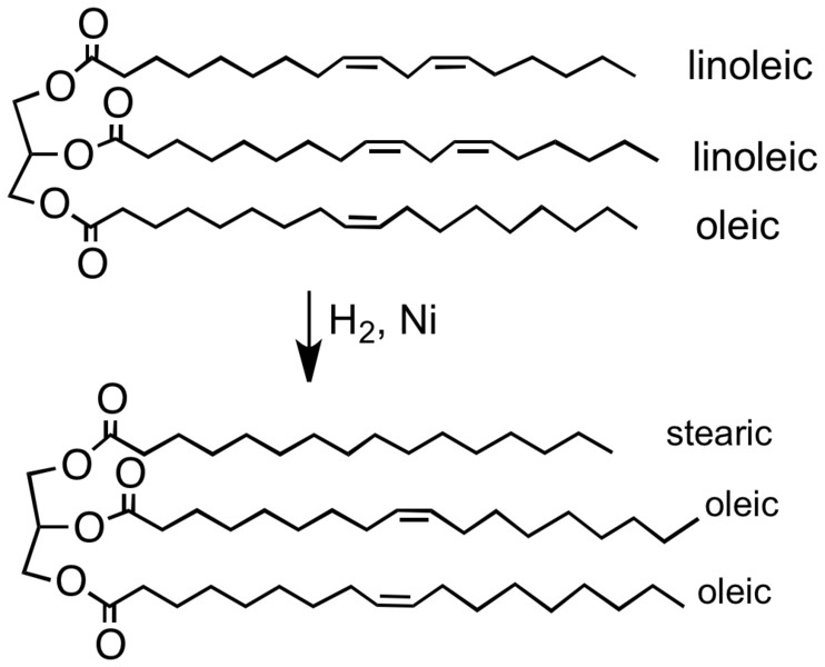 Hydrogenation process converting unsaturated linoleic acid to stearic or oleic acid.