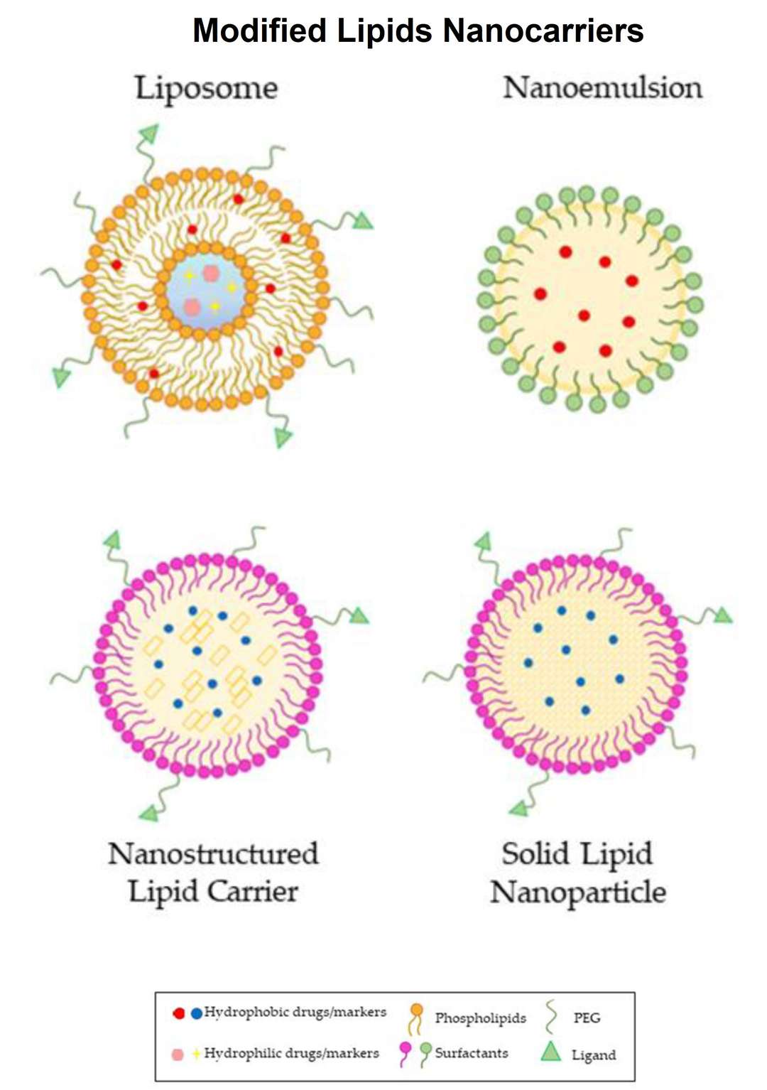 Modified lipid nanocarriers: liposome, nanoemulsion, nanostructured lipid carrier, and solid lipid nanoparticle.