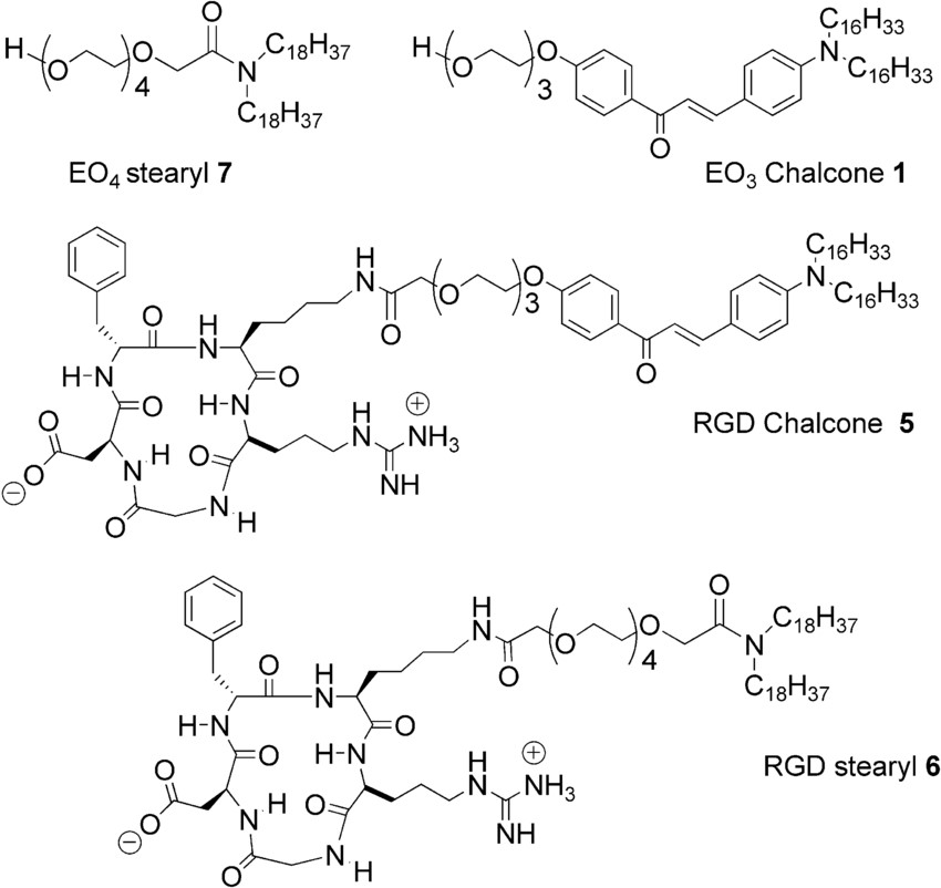 Examples of synthetic lipids: EO4stearyl, EO3Chalcone, RGD Chalcone, and RGD stearyl.