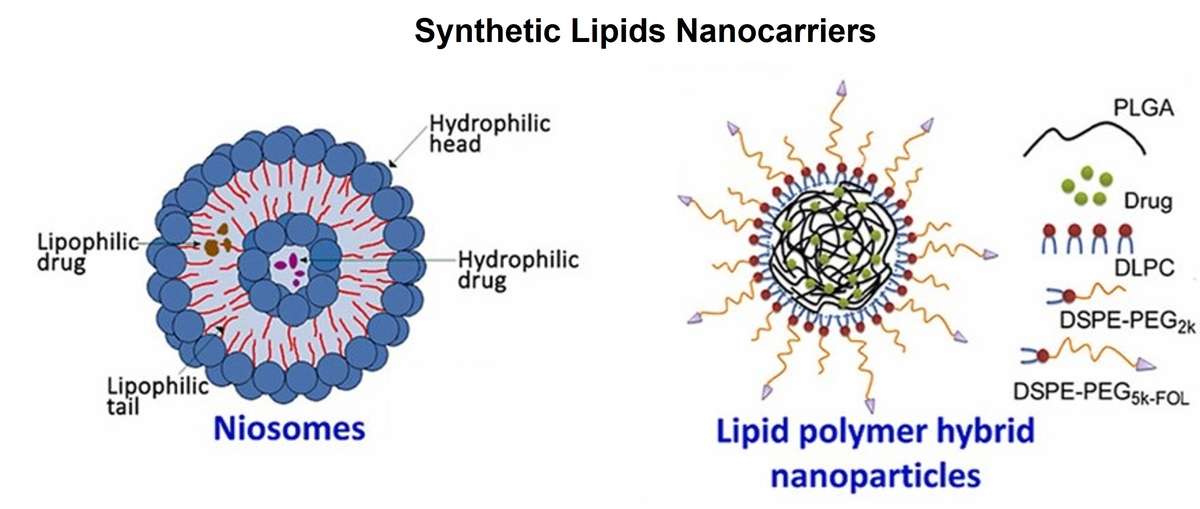 Synthetic lipid nanocarriers: niosomes and lipid-polymer hybrid nanoparticles.