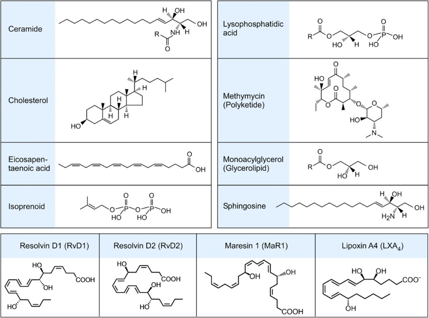 Examples of bioactive lipids: ceramide, cholesterol, eicosapentaenoic acid, isoprenoids, and more.