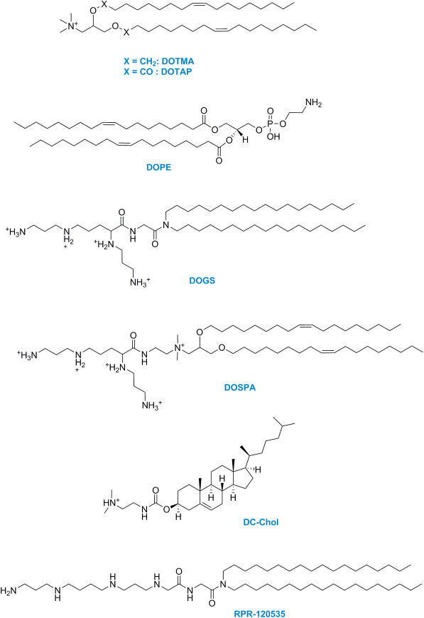 Structures of common cationic lipids: DOTMA, DOTAP, DOPE, DOGS, DOSPA, DC-Chol, and RPR-120535.