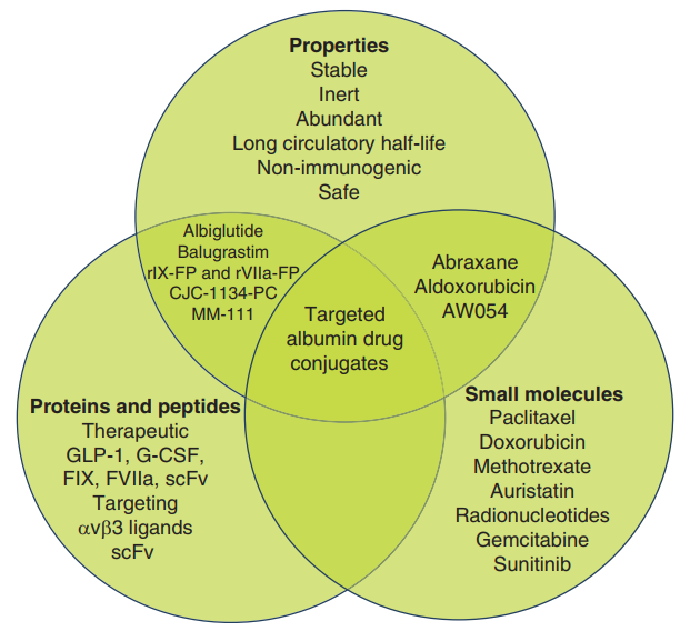 Albumin as a versatile drug delivery platform