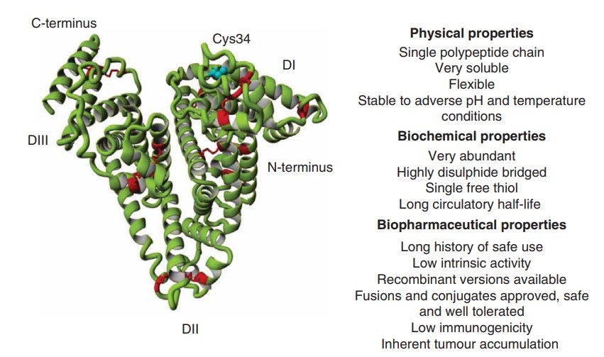 Biochemical and biophysical properties of albumin for drug delivery