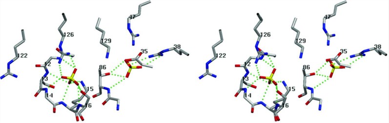 PNK active site