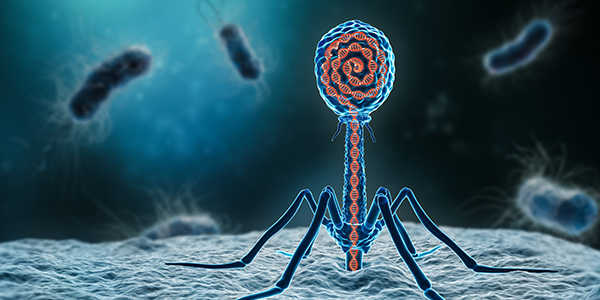 Bacteriophages