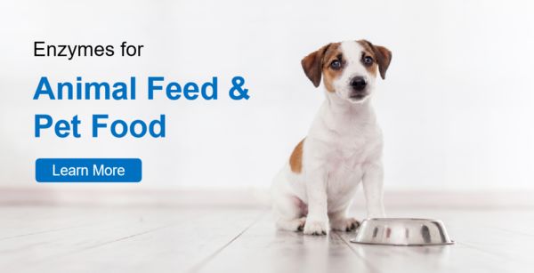 Animal Feed & Pet Food