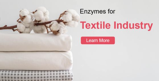 Textile Enzymes