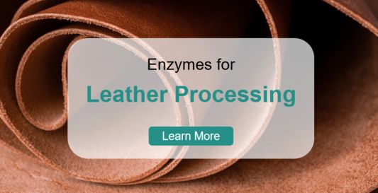 Leather Processing