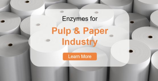 Pulp & Paper Industry