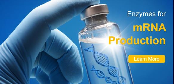 Enzymes for mRNA Production